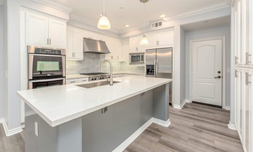 pexels-itsterrymag-3623785